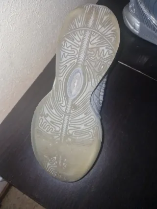 Zapatillas Baloncesto Nike Gris/Plata