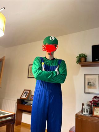 Disfraz Luigi