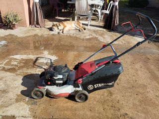 Cortacésped Sterwins Gasolina 125cc.658767829