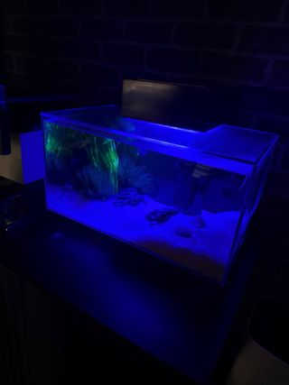Acuario Fluval Edge 23L + Accesorios