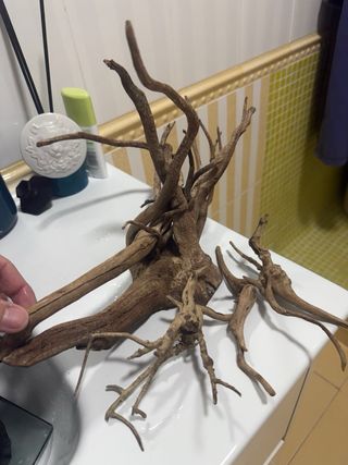 Acuario Fluval Edge 23L + Accesorios