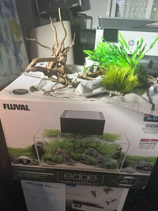 Acuario Fluval Edge 23L + Accesorios
