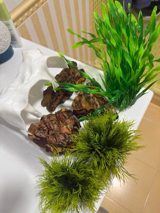 Acuario Fluval Edge 23L + Accesorios