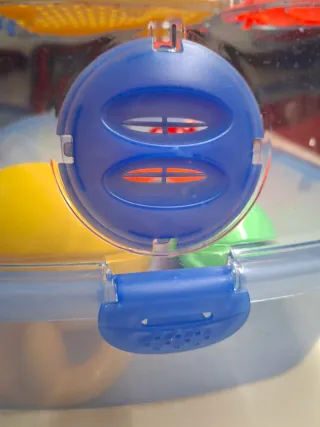 Gabbia per criceti trasparente con accessori