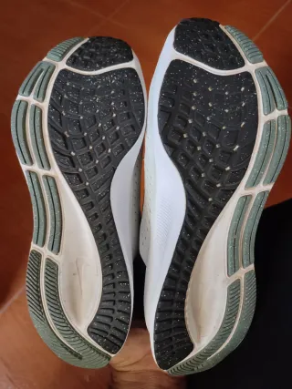 Zapatilla Nike Air Zoom Pegasus