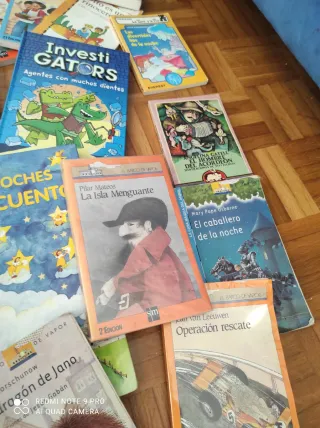 Lote de libros
