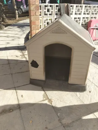 Caseta perro grande beige/gris