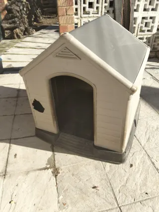 Caseta perro grande beige/gris