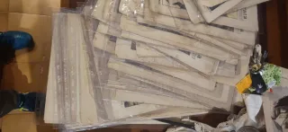 La tribuna illustrata