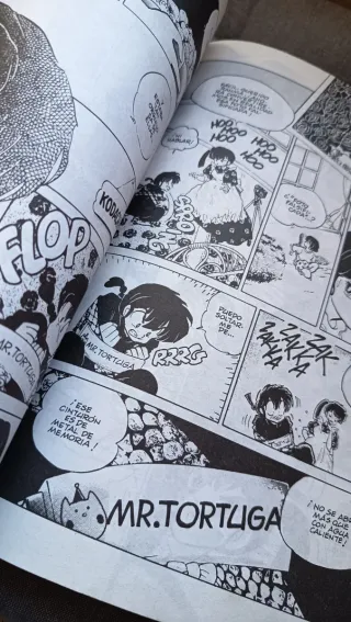 Ranma 1/2: 4a Parte