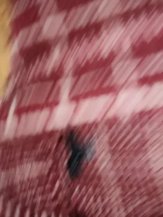 Chaqueta Cortefiel Cuadros Lana Talla Única ta