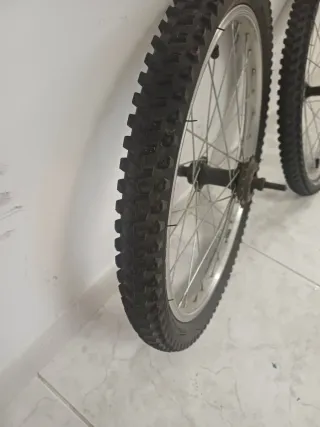 Ruote Btwin All Terrain 20 pollici