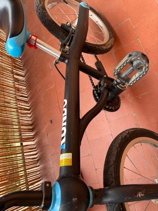 Bicicleta Kundo evolutiva / andador