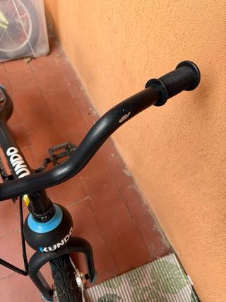 Bicicleta Kundo evolutiva / andador