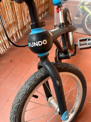 Bicicleta Kundo evolutiva / andador