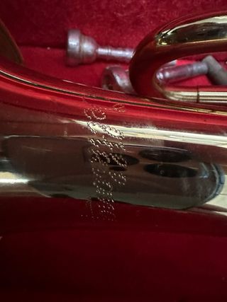 Trompeta dorada con 2 boquillas