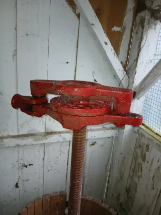 Kit elaboración vino