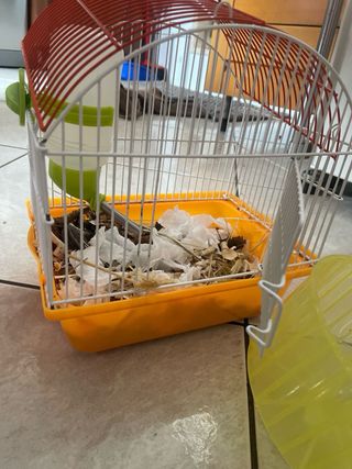 Gabbia per criceti con ruota e beverino