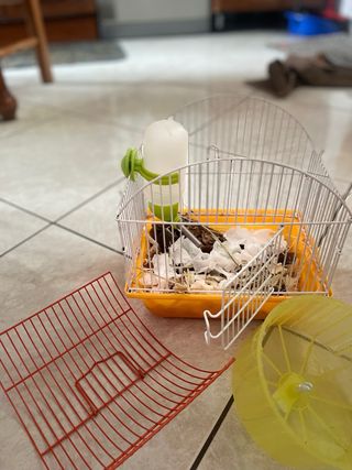 Gabbia per criceti con ruota e beverino