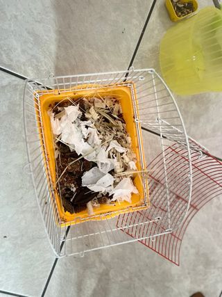 Gabbia per criceti con ruota e beverino