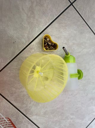 Gabbia per criceti con ruota e beverino