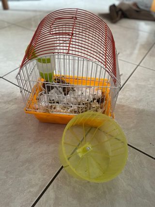 Gabbia per criceti con ruota e beverino