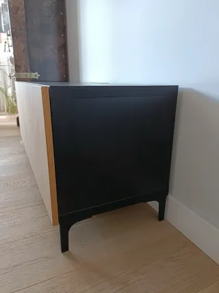 Mueble TV IKEA Bestå 120x41x48 cm