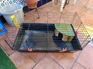 Jaula para conejos, cobayas y más