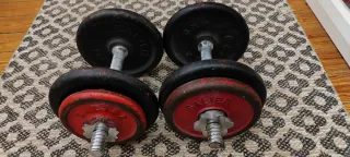 Mancuernas Salter con discos