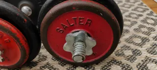 Mancuernas Salter con discos