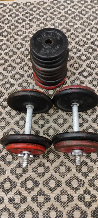 Mancuernas Salter con discos