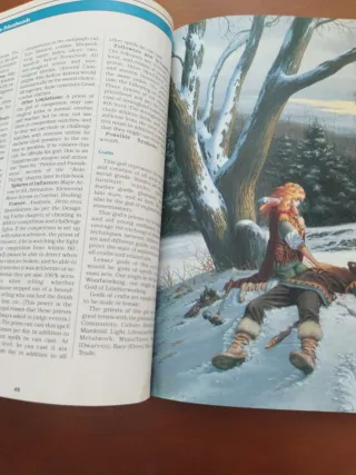 Advanced Dungeons & Dragons Manual buen Sacerdote