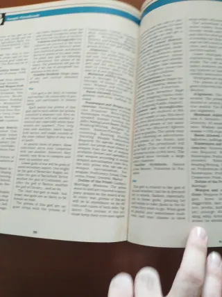 Advanced Dungeons & Dragons Manual buen Sacerdote