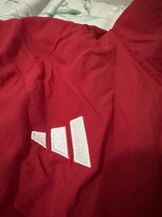 Chaqueta Adidas Benfica Roja Talla M