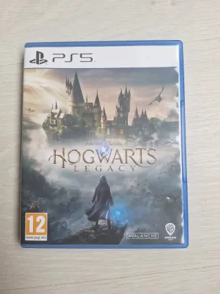 Hogwarts Legacy PS5