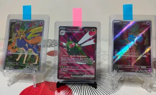 Carte Pokémon+raccoglitore+codici GCc+energia+gadg