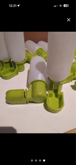 12 bebederos Gaun para aves