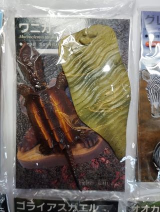 Kaiyodo Red Data Animals Set 12 Figure