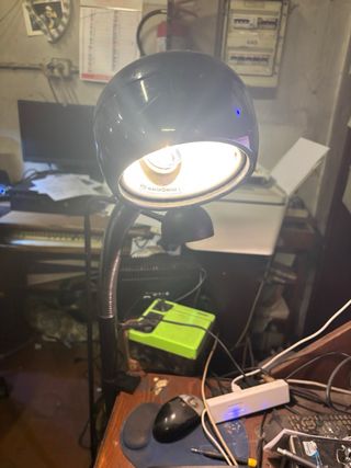 Lampada da tavolo flessibile con morsetto