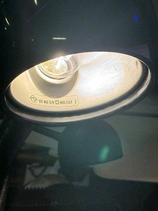 Lampada da tavolo flessibile con morsetto