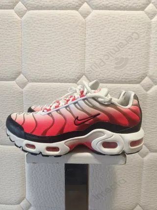 Zapatillas Nike Air Max Plus Rojas y Negras