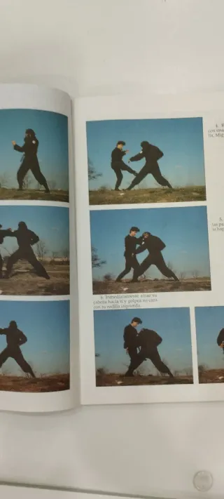 Lote 2 revistas Décimo Dan.