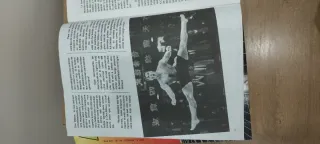 Lote 2 revistas Décimo Dan.