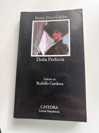 Dona Perfecta