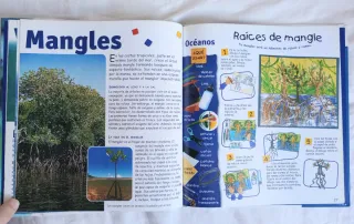 Libro infantil Oceanos