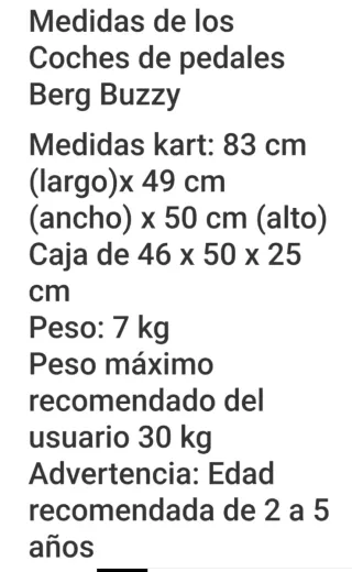 Kart infantil Berg Buzzy