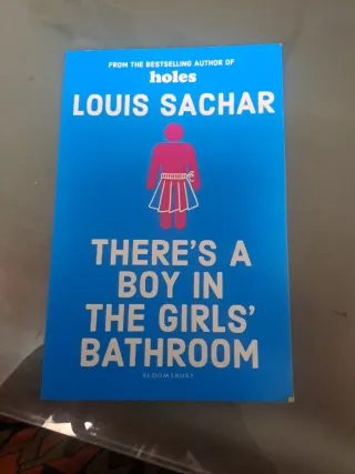 Theres A Boy In The Girls Bathroom