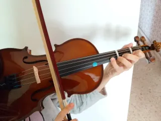 Viola con estuche y arco
