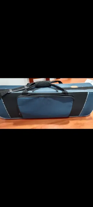 Viola con estuche y arco