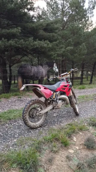 Gas Gas 125 EC Enduro Limitada